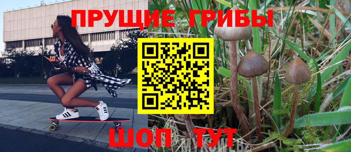 Галлюциногенные грибы GOLDEN TEACHER  Галлюциногенные грибы мицелий  Ангарск  Вход с VPN 