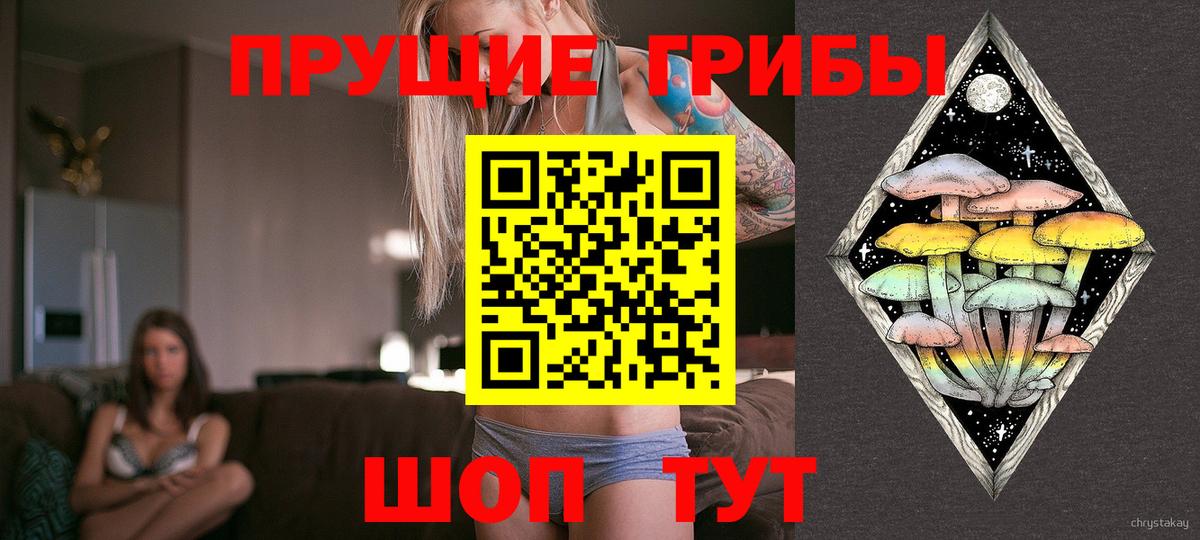 Псилоцибиновые грибы мухоморы Ангарск
